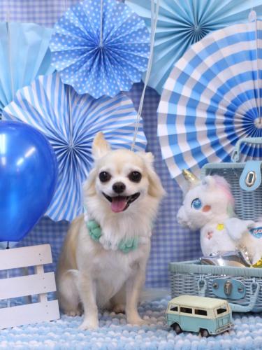 20231116ミルクちゃん